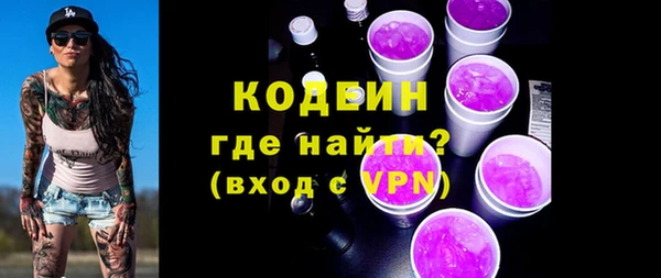 ECSTASY Няндома