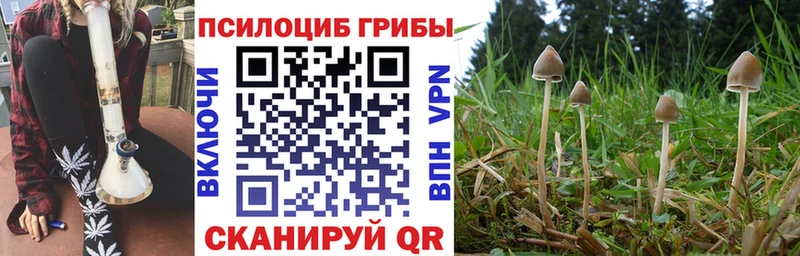 Псилоцибиновые грибы GOLDEN TEACHER  где можно купить   Приволжск 